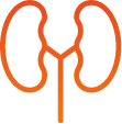 Renal impairment icon