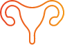 Uterus icon